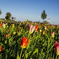 2016-04-10 19-02-16