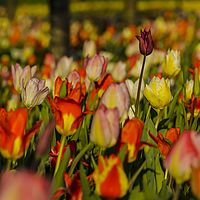 2016-04-10 19-08-27-2