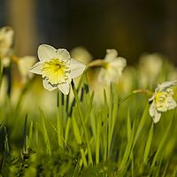 2016-04-10 19-13-39