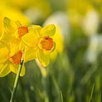 2016-04-10 19-15-49