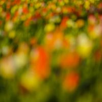 2016-04-10 19-17-11