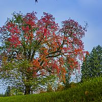 2016-10-22 14-51-37