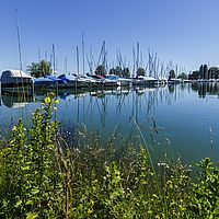2016-06-22 12-11-36