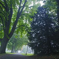 2016-09-23 07-10-46