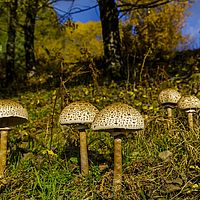 2016-10-29 14-49-26