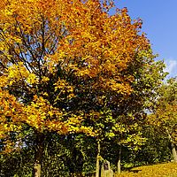 2016-10-29 15-19-00