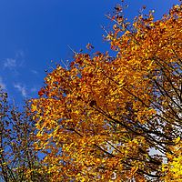 2016-10-29 15-22-11