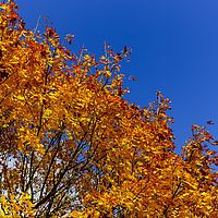 2016-10-29 15-22-51