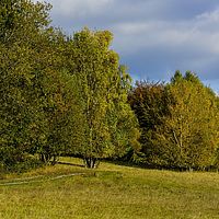 2016-10-29 15-10-03