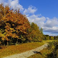 2016-10-29 15-19-50