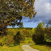 2016-10-29 15-29-10
