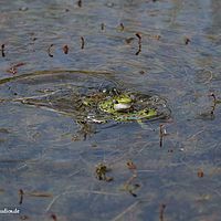 2014-04-25 07-34-32