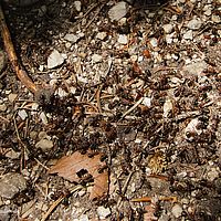 2014-06-07 13-03-42