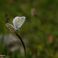 2014-06-07 16-31-41