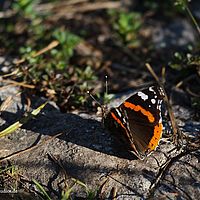 2014-06-07 17-33-19