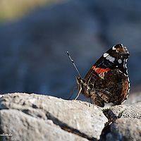 2014-06-07 17-34-09