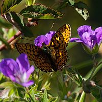 2014-06-07 17-39-33-2