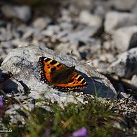 2014-06-07 17-45-17