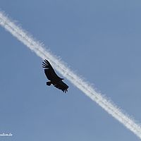 2014-06-07 18-11-29
