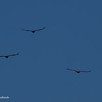 2014-06-07 18-12-32