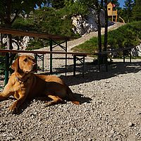 2014-06-08 08-52-35