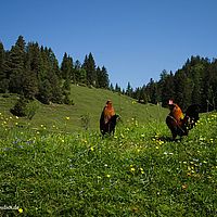 2014-06-08 10-45-27