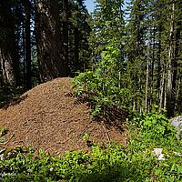 2014-06-08 15-01-58