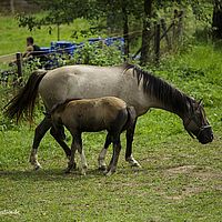 2014-08-09 12-40-33
