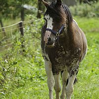 2014-08-09 12-41-19