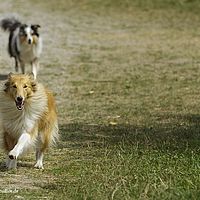 2014-08-09 13-20-38