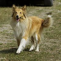2014-08-09 13-20-40