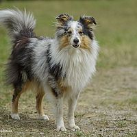 2014-08-09 13-21-13