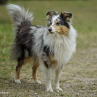 2014-08-09 13-21-14
