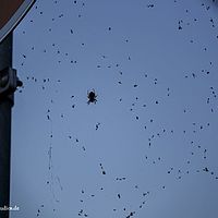 2014-09-14 19-42-18