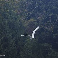2014-09-21 13-51-18