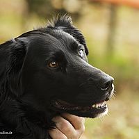 2014-09-27 11-30-14-2