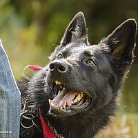 2014-09-27 12-58-59