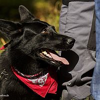2014-09-27 13-00-12