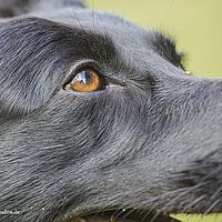 2014-09-27 14-29-09-4