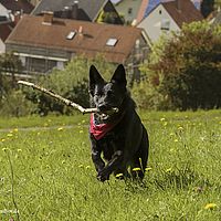2014-09-27 15-07-42