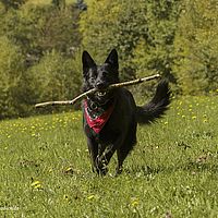 2014-09-27 15-08-05-4