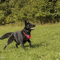 2014-09-27 15-08-46