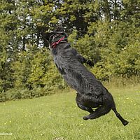 2014-09-27 15-09-02