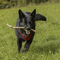 2014-09-27 15-09-37