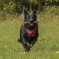 2014-09-27 15-10-01