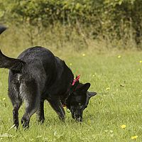 2014-09-27 15-12-26