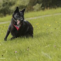 2014-09-27 15-15-44