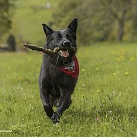 2014-09-27 15-16-11