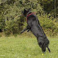 2014-09-27 15-17-03