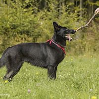 2014-09-27 15-18-52-2